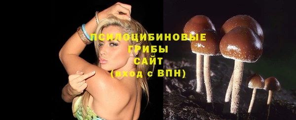 прущая мука Абаза