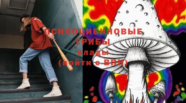 мяу мяу мука Рославль