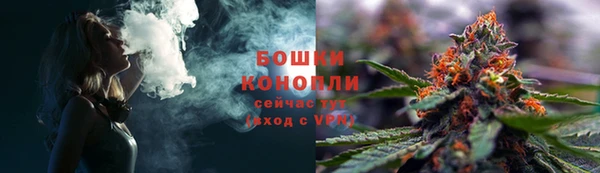 дурь Алексеевка