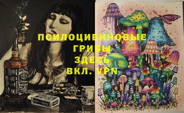 прущая мука Абаза