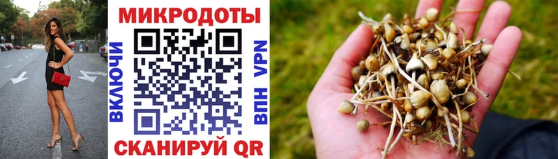 Галлюциногенные грибы MAGIC MUSHROOMS  купить  сайты  Кириллов 